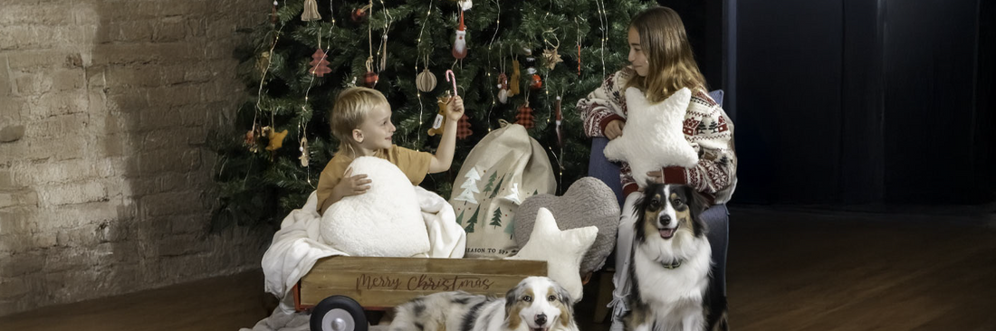 ¿Cómo elegir el tamaño ideal para tu árbol de navidad?